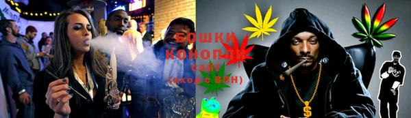 прущие грибы Алзамай