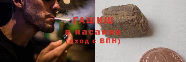 прущие грибы Алзамай
