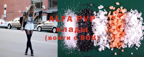 прущие грибы Алзамай