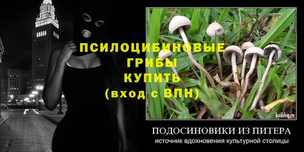Альфа ПВП Алексин