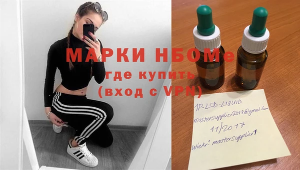 прущие грибы Алзамай
